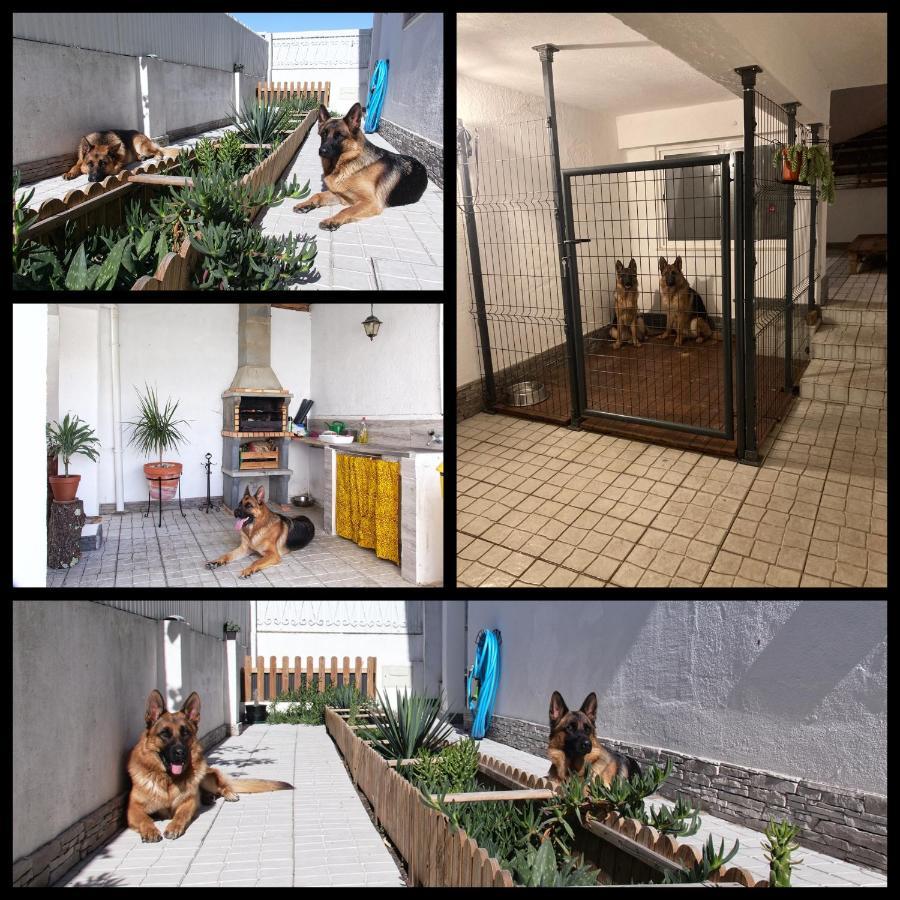 Toca Do Lobo Charneca (Setubal) Exterior photo