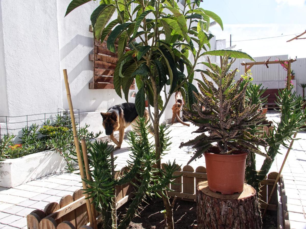 Toca Do Lobo Charneca (Setubal) Exterior photo